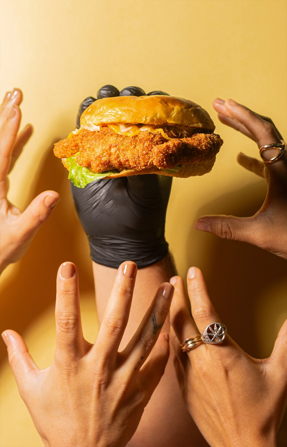 a705ef8d118510135275449569562356247568444